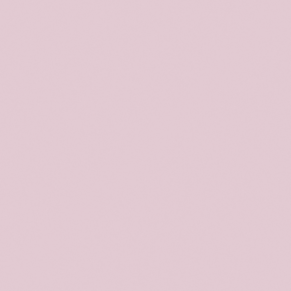 NP R 2296P-Pretty Tint