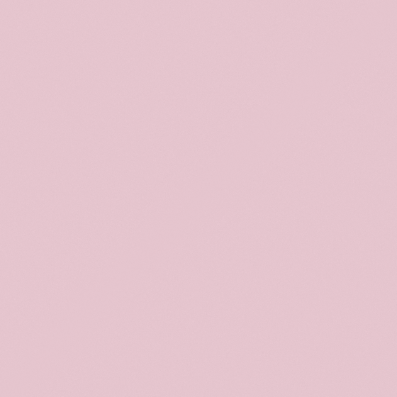 NP R 1334P-Privacy Pink