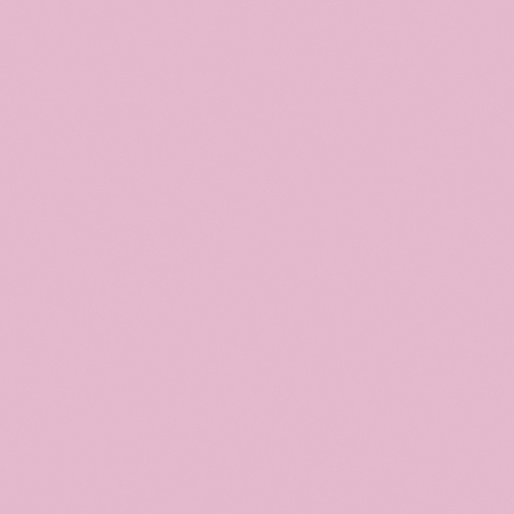 NP R 1305P Warley Rose