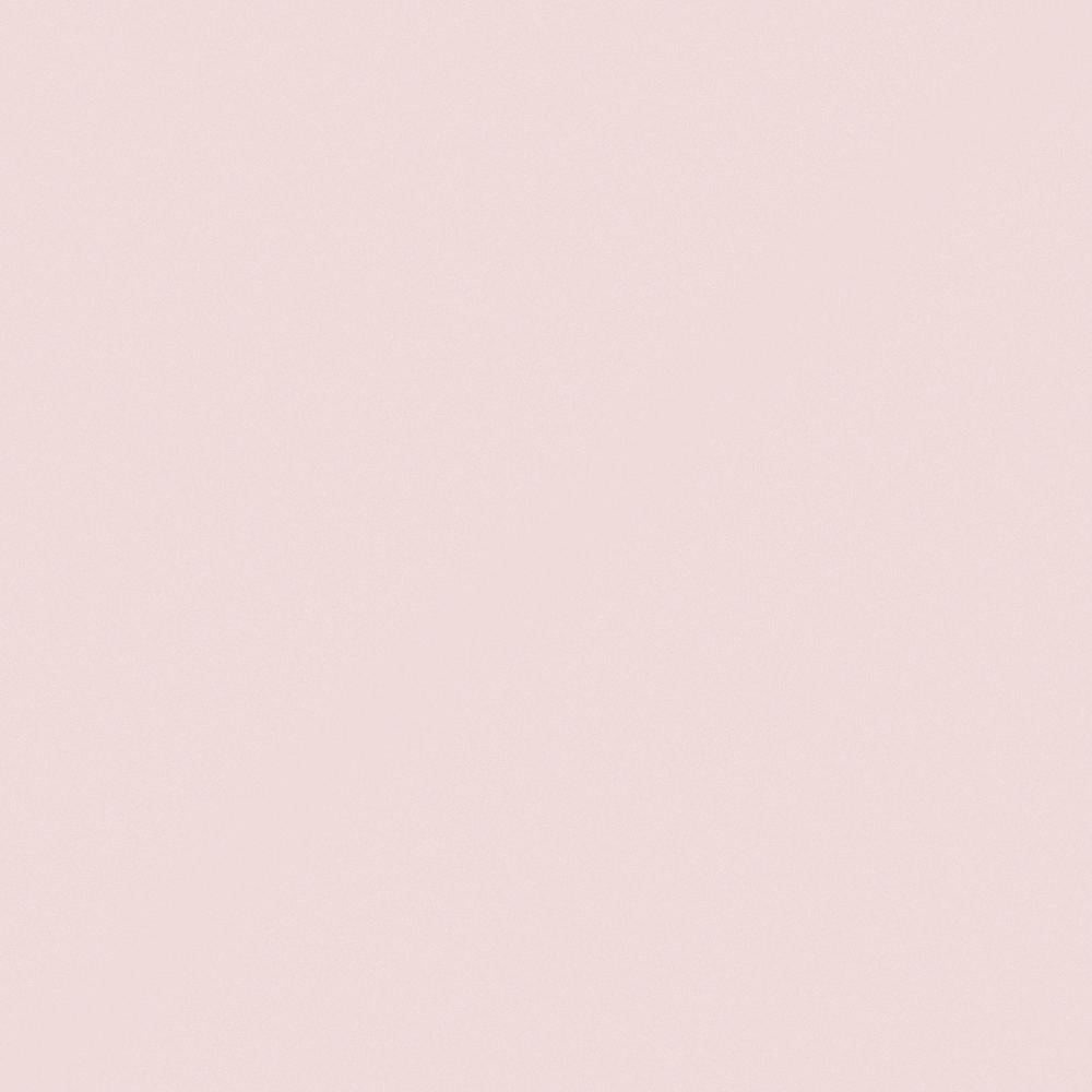 NP R 2310P-Tinted Pink