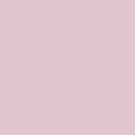 NP R 1319P-Lavender Posy