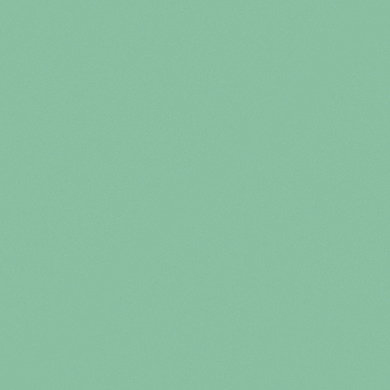 NP BGG 1623T-Spun Green