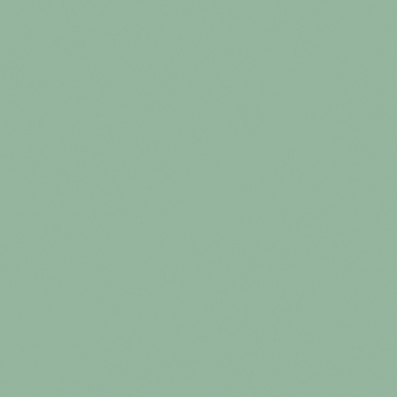 NP BGG 1801T-Jasper Green