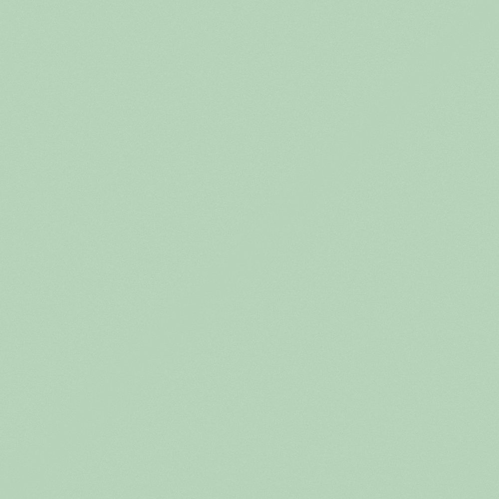 NP BGG 2662P-Green Thumb