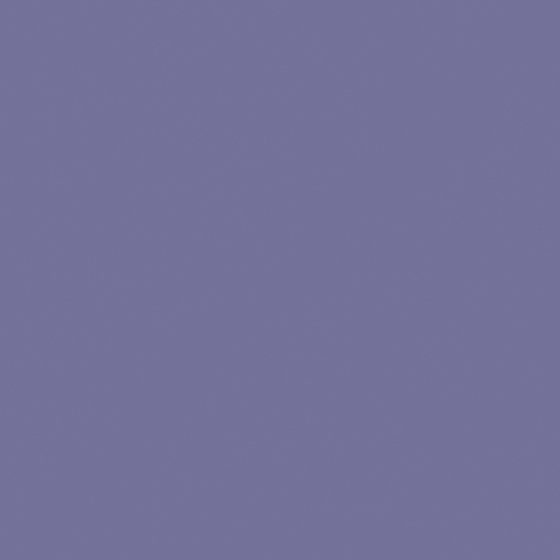 NP PB 2951D-Wishful Purple