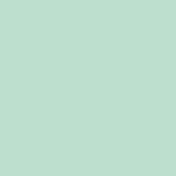 NP BGG 2677P-Walk In The Park