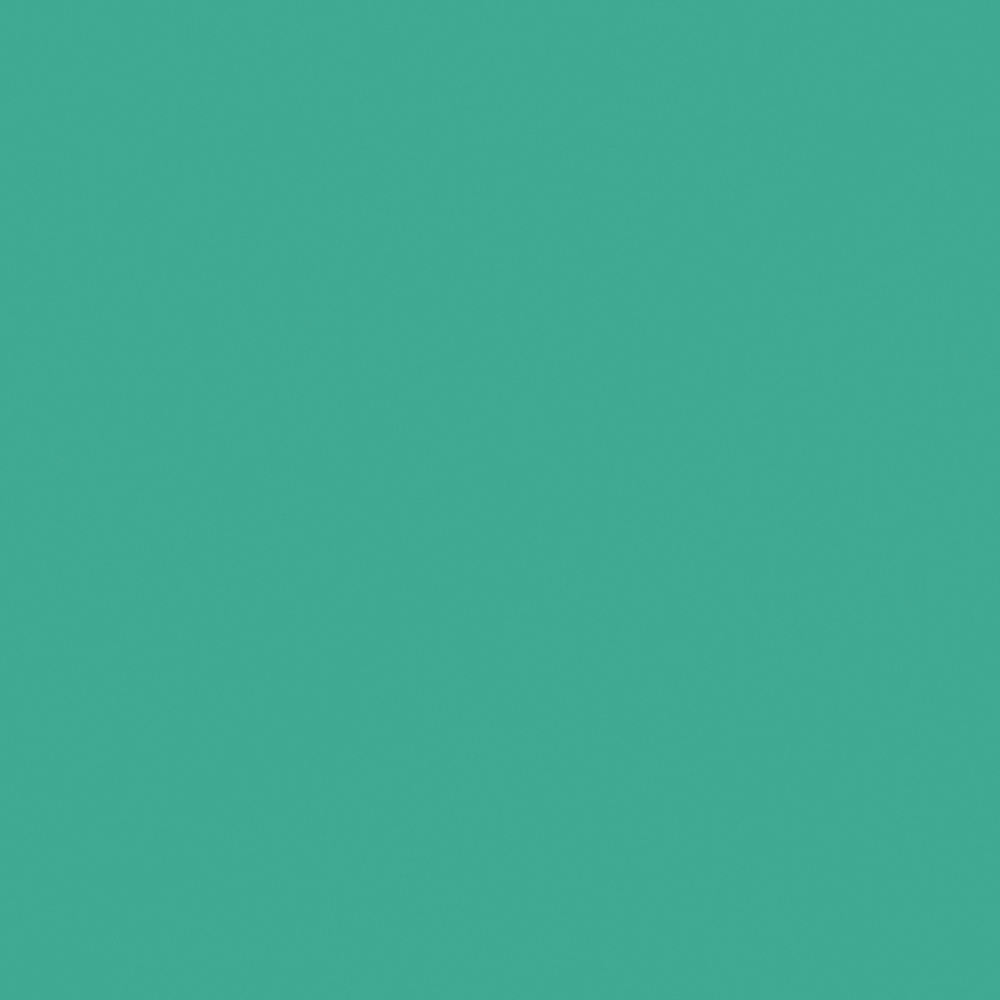 NP BGG 1611D-Turquoise Beads