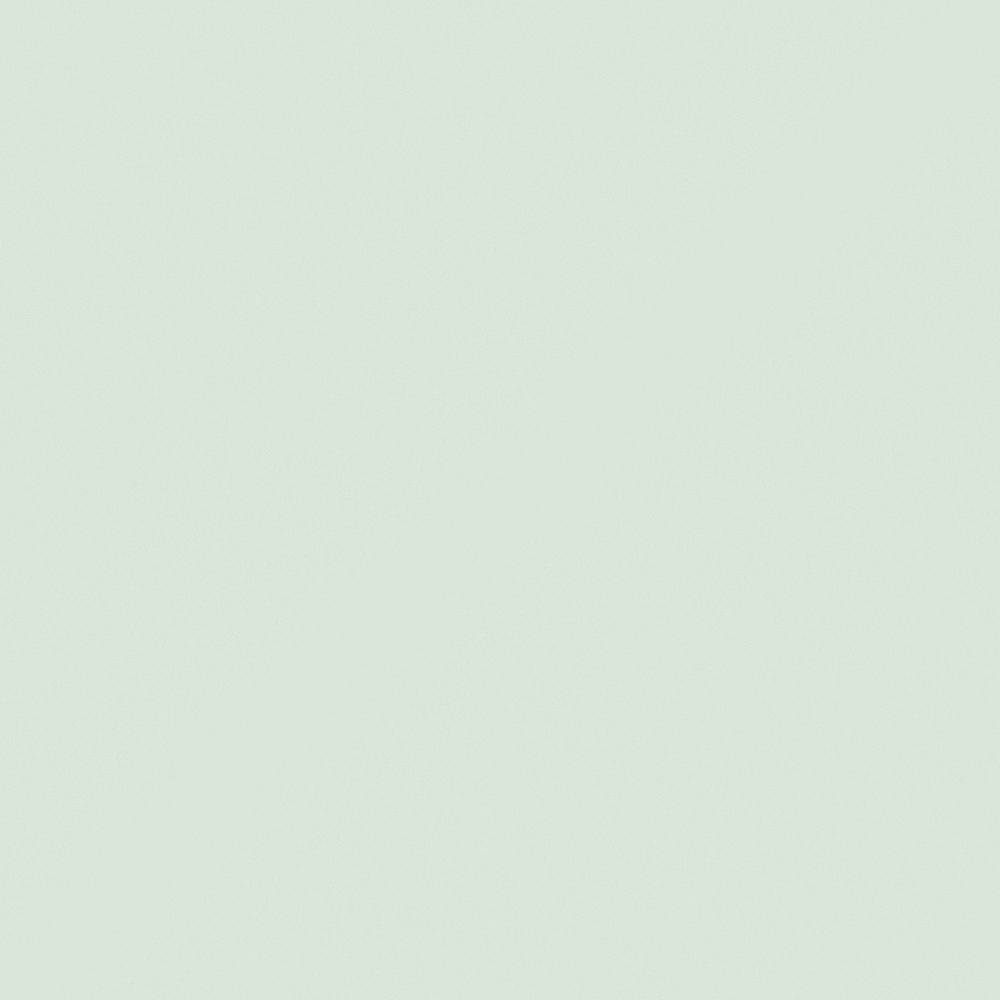 NP BGG 2684P-White Water Rafting