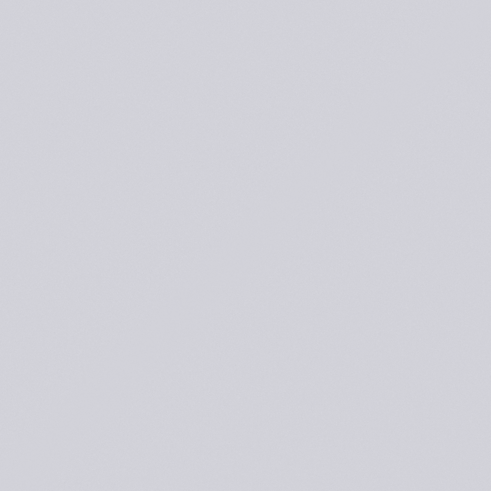 NP PB 2936P-Monsoon Light