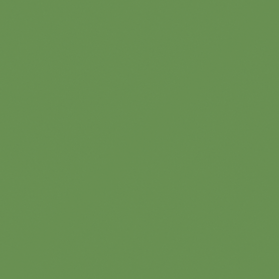 NP BGG 2629A-Green Orchard