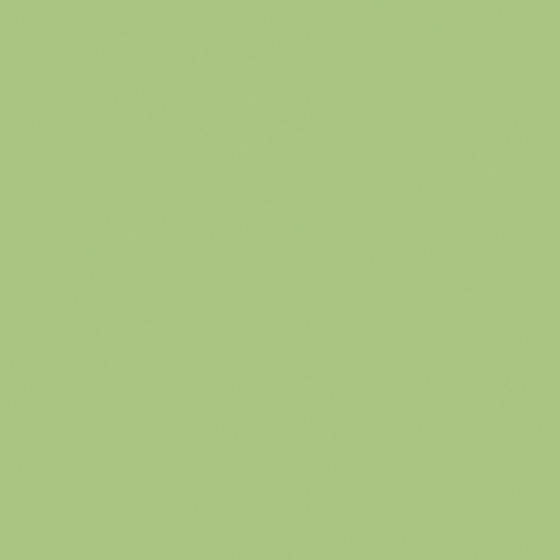 NP BGG 1777T-Aquarius Green