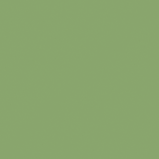 NP BGG 1786D-Painter's Leaf