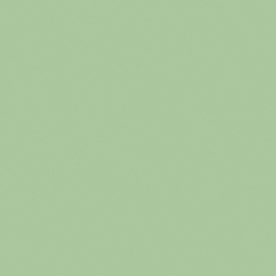NP BGG 1794T-Comfort Green