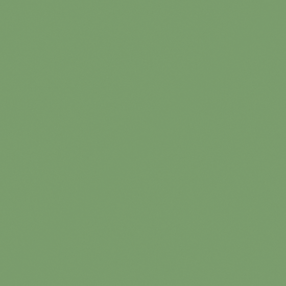 NP BGG 1793D-Green Pod