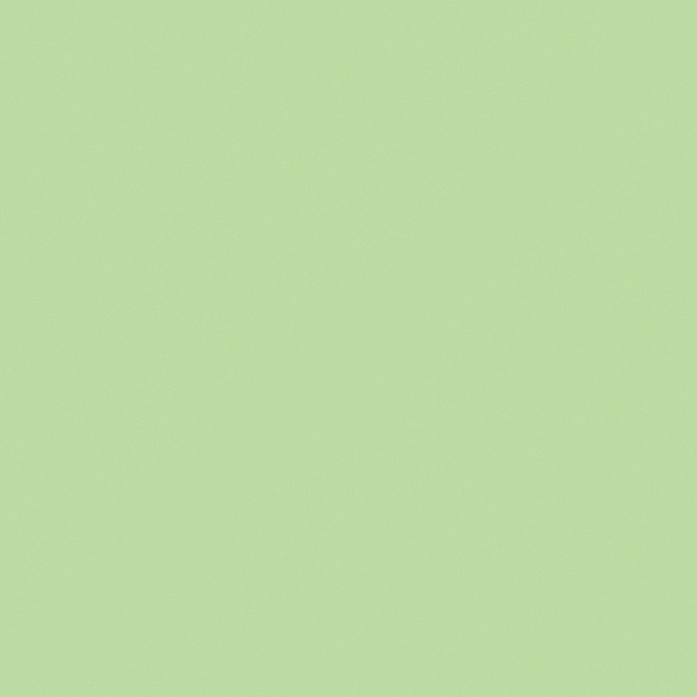 NP BGG 2643T-Minty Soul