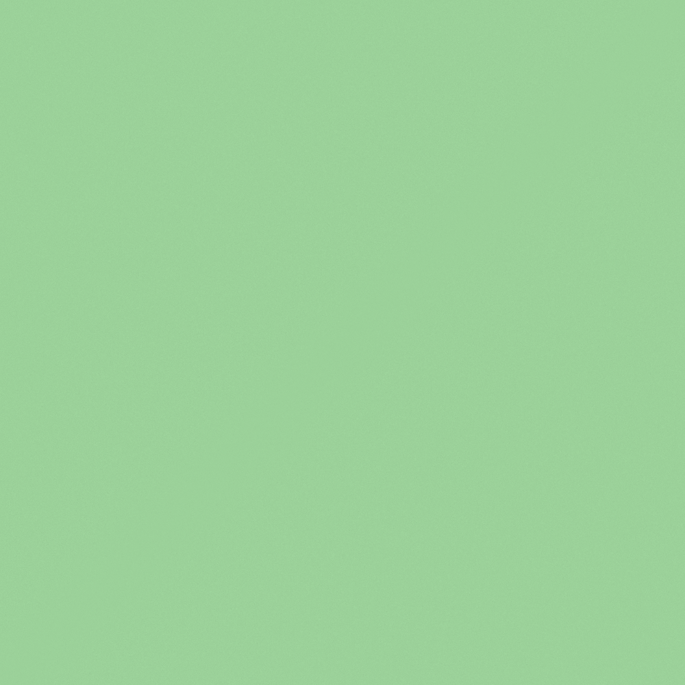 NP BGG 1644T-Jasmine Leaf