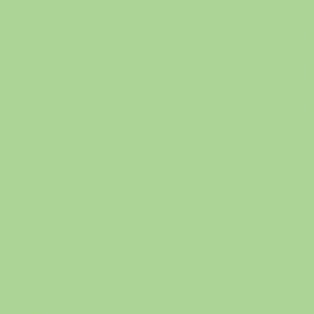 NP BGG 1658T-Lime Freeze