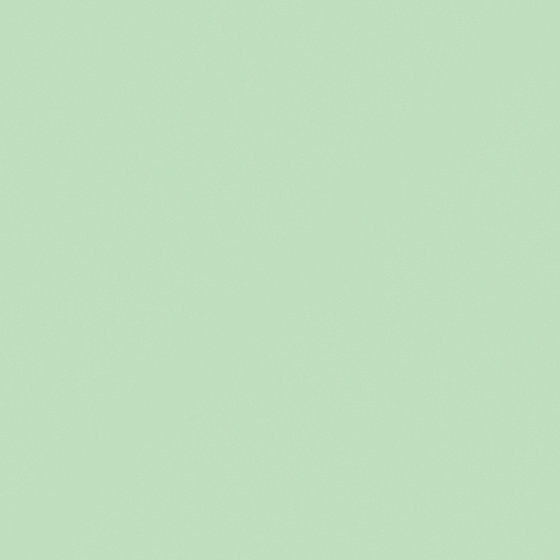 NP BGG 2654P-Picnic Day