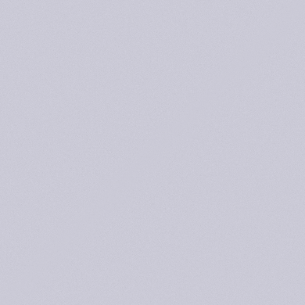 NP PB 1446P-Early Bird