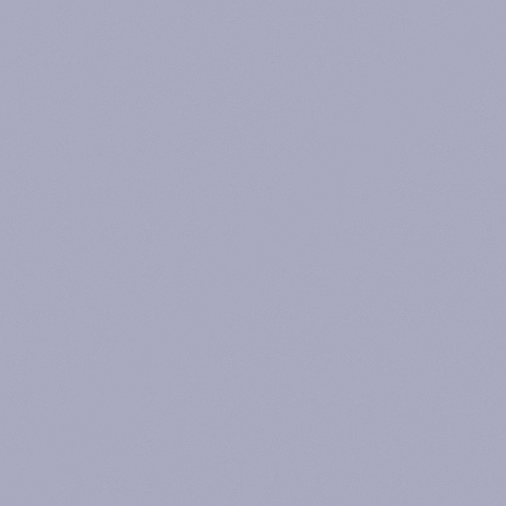 NP PB 1473P-Faded Memories