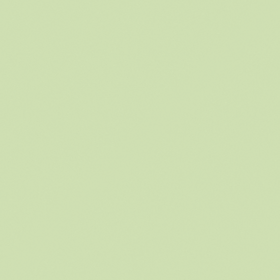 NP BGG 2619P-Ollie's Branch