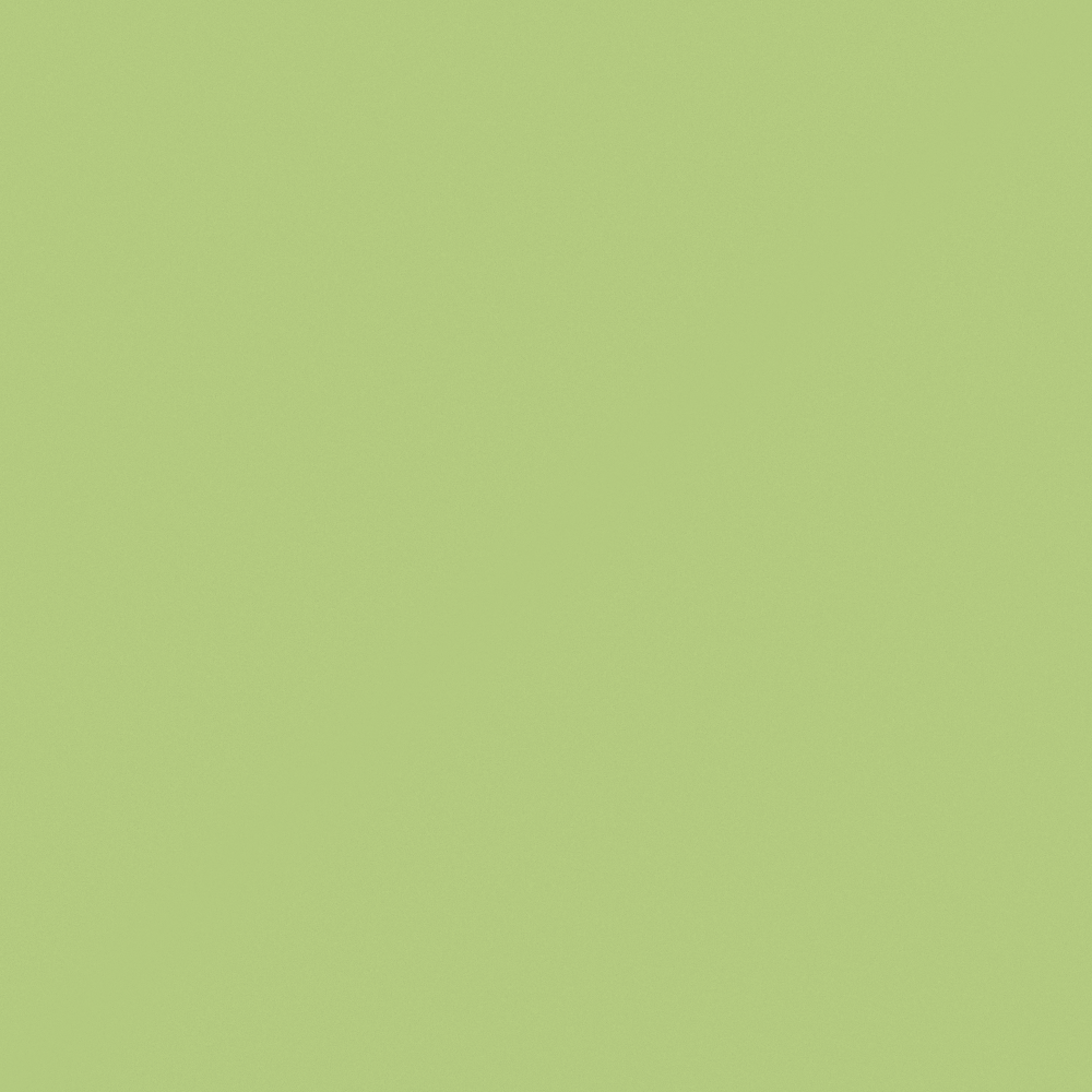 NP BGG 1674D-Exclusive Green