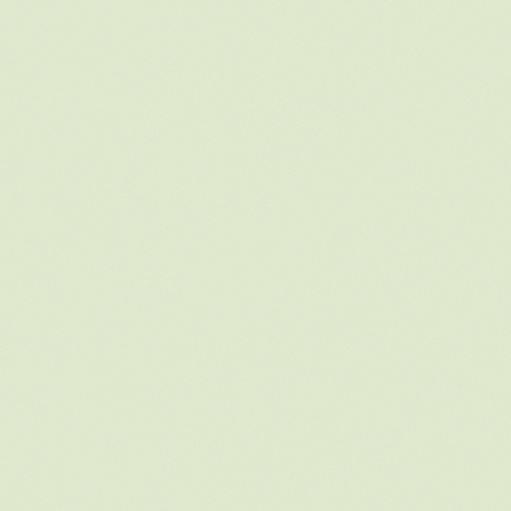 NP BGG 2609P-Whispering Pines