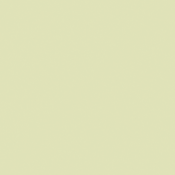 NP BGG 2570P-Young Lime