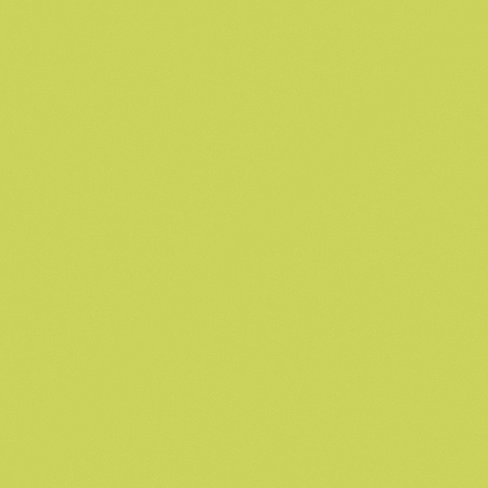 NP BGG 2575A-Lime House