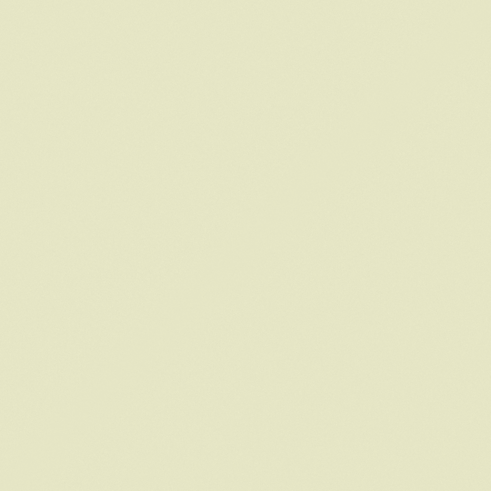 NP BGG 2576P-Hint of Spring