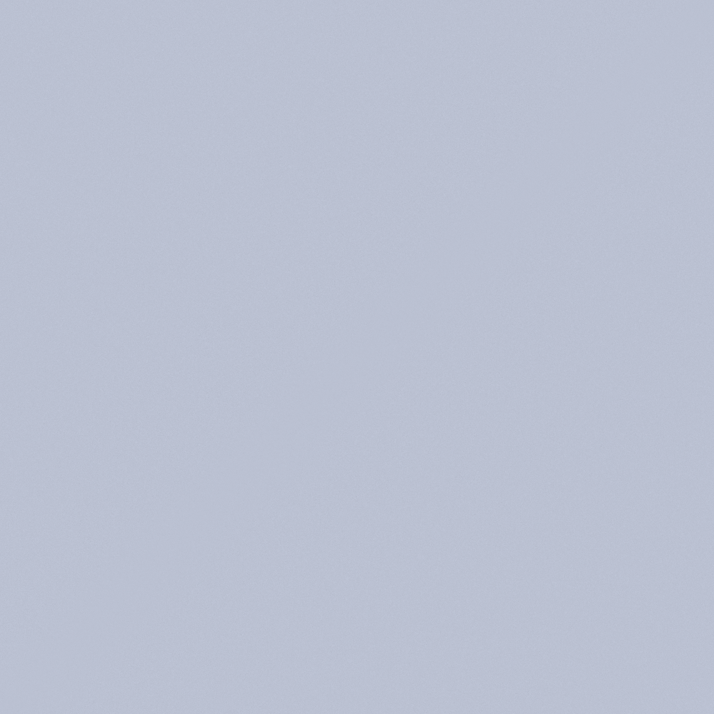 NP PB 1508P-Cool Lilac