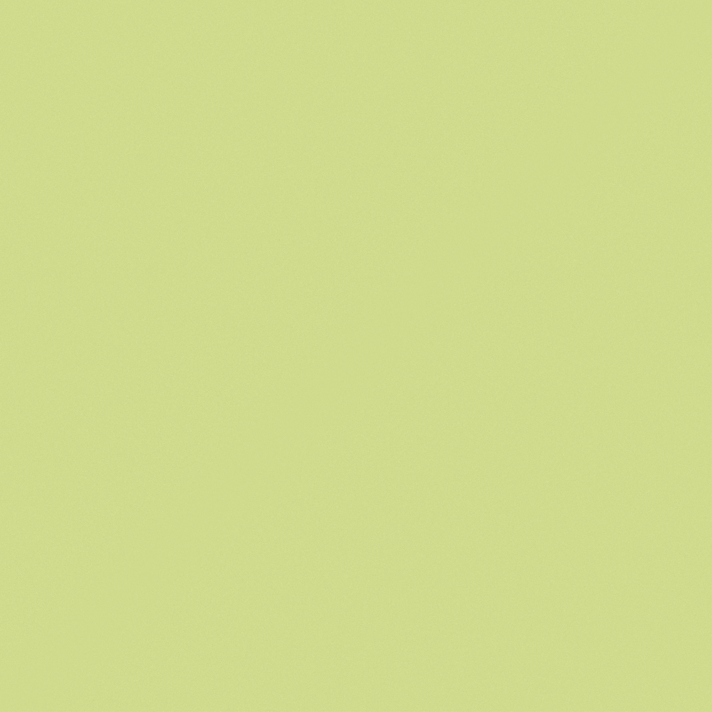 NP BGG 2588T-Vera Green