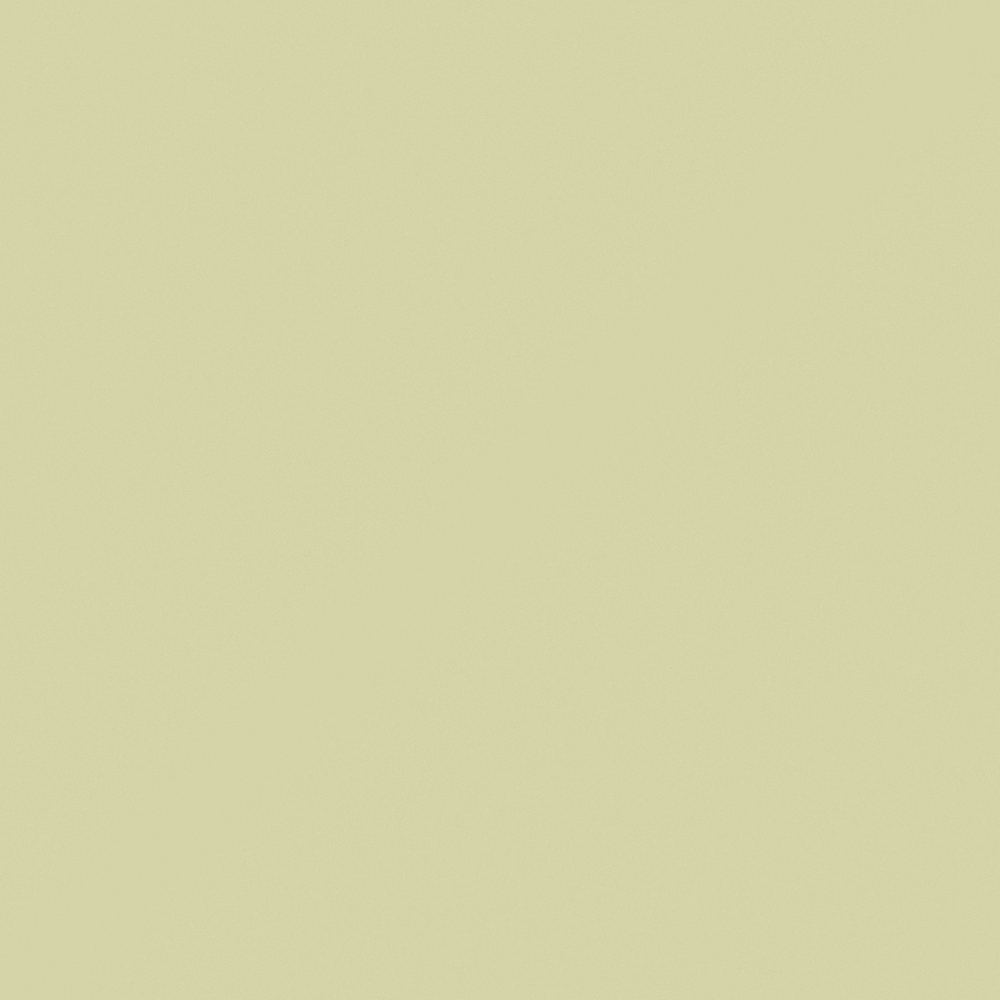 NP BGG 2594P-Cabbage Garden