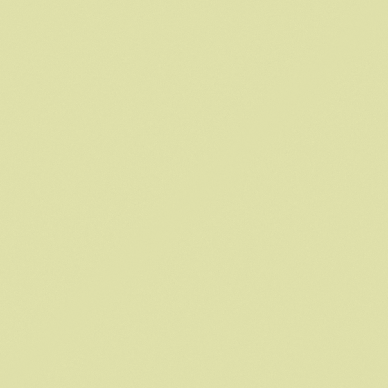 NP BGG 2587P-Tea Parlour