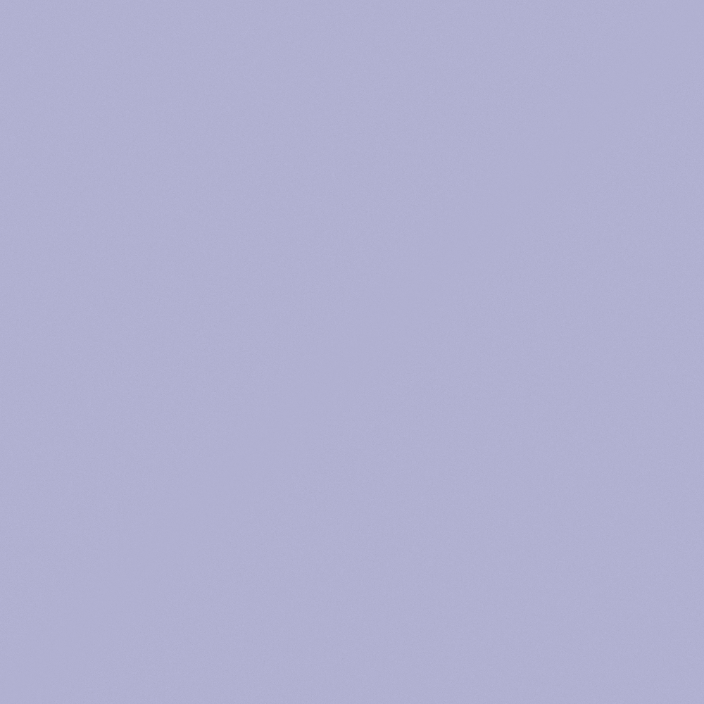 NP PB 1475P-Dear Diary