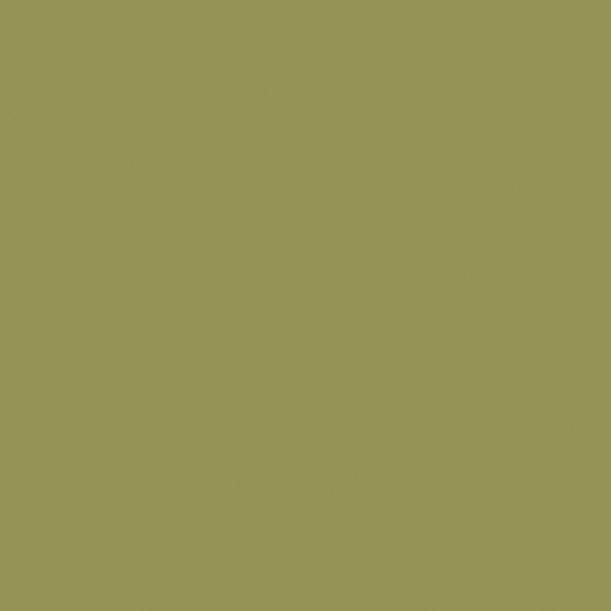 NP BGG 2598A Ripe Kiwi