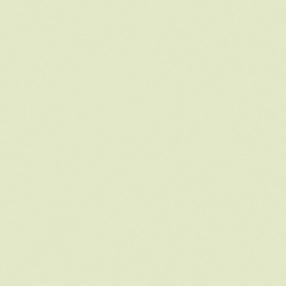 NP BGG 2599P-Picturesque