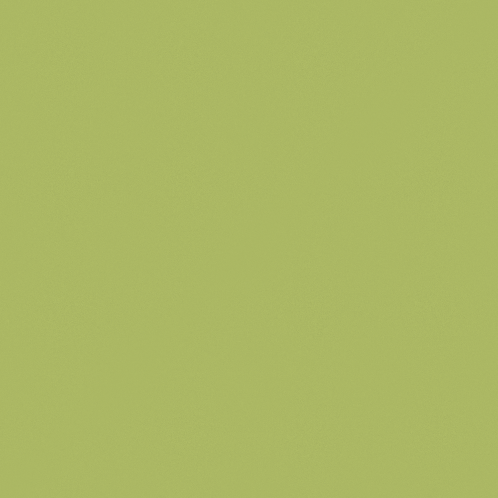 NP BGG 2602D-Grassy Lawn