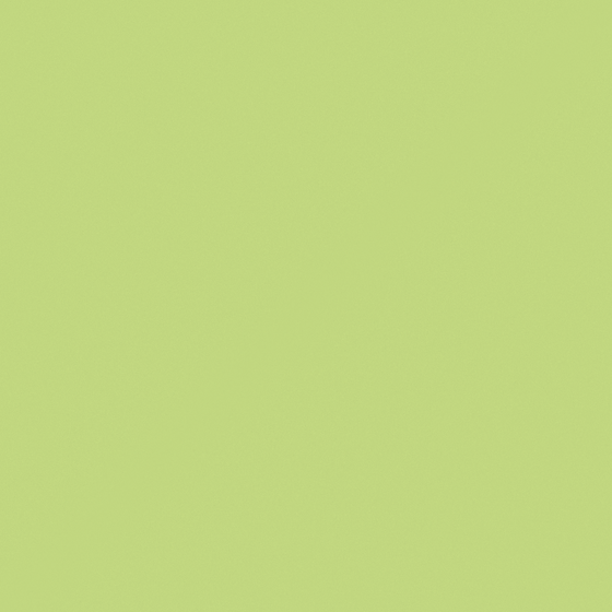 NP BGG 2606D-Spritely Step