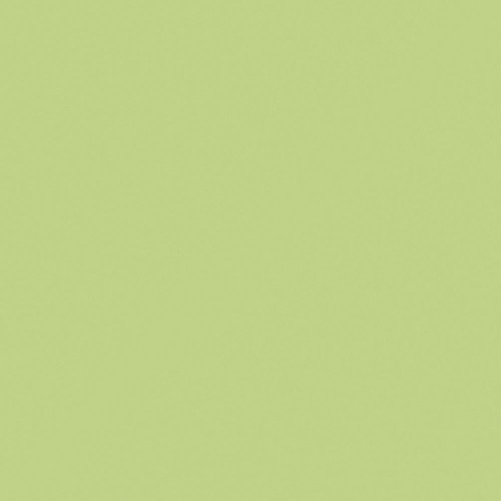 NP BGG 1682T Villa Green