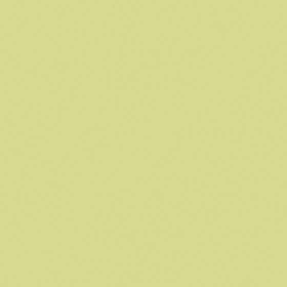 NP BGG 1685T-Yellow Grass