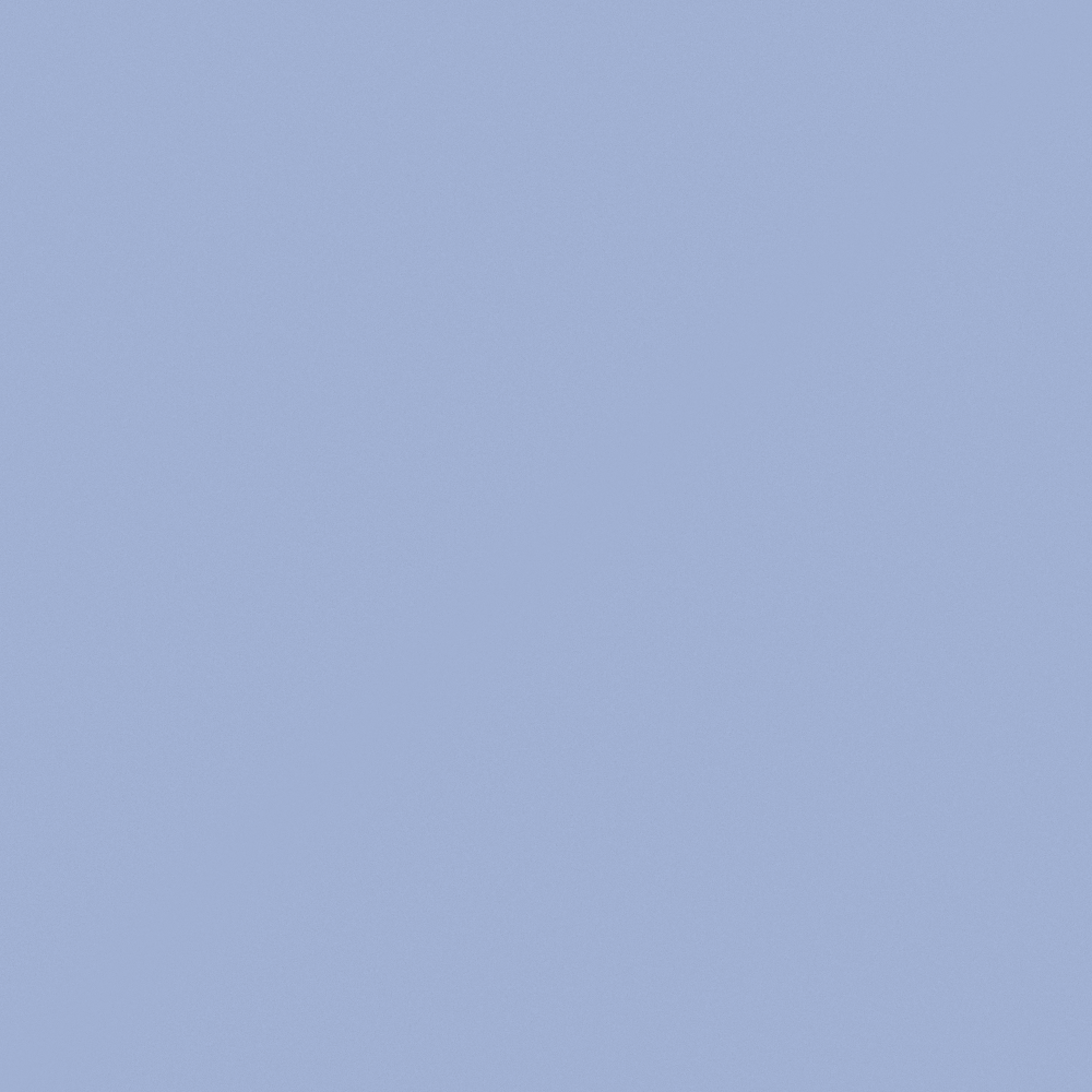 NP PB 1496P-퍼플 타임즈