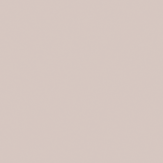 NP N 3378P-Taupe Brush