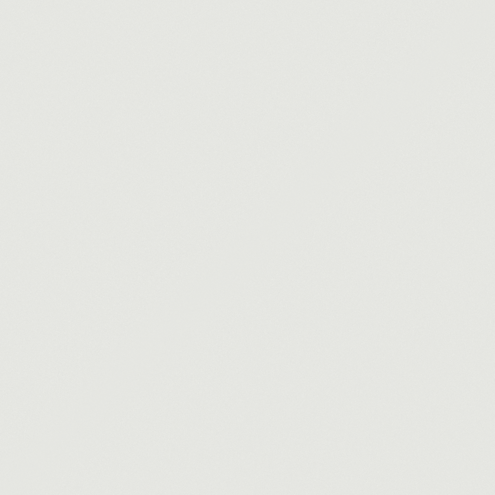 NP OW 2146P-Simply White