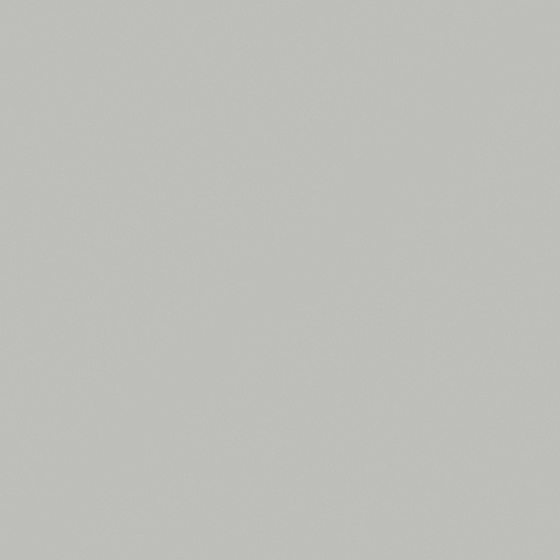 NP N 2047P-Steel Pot