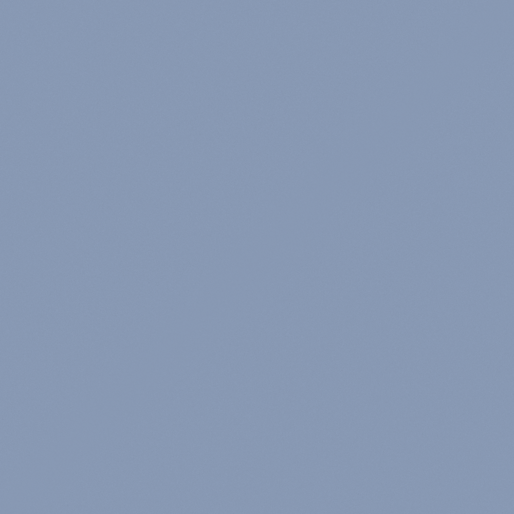 NP PB 2914T-Blueberry Bush