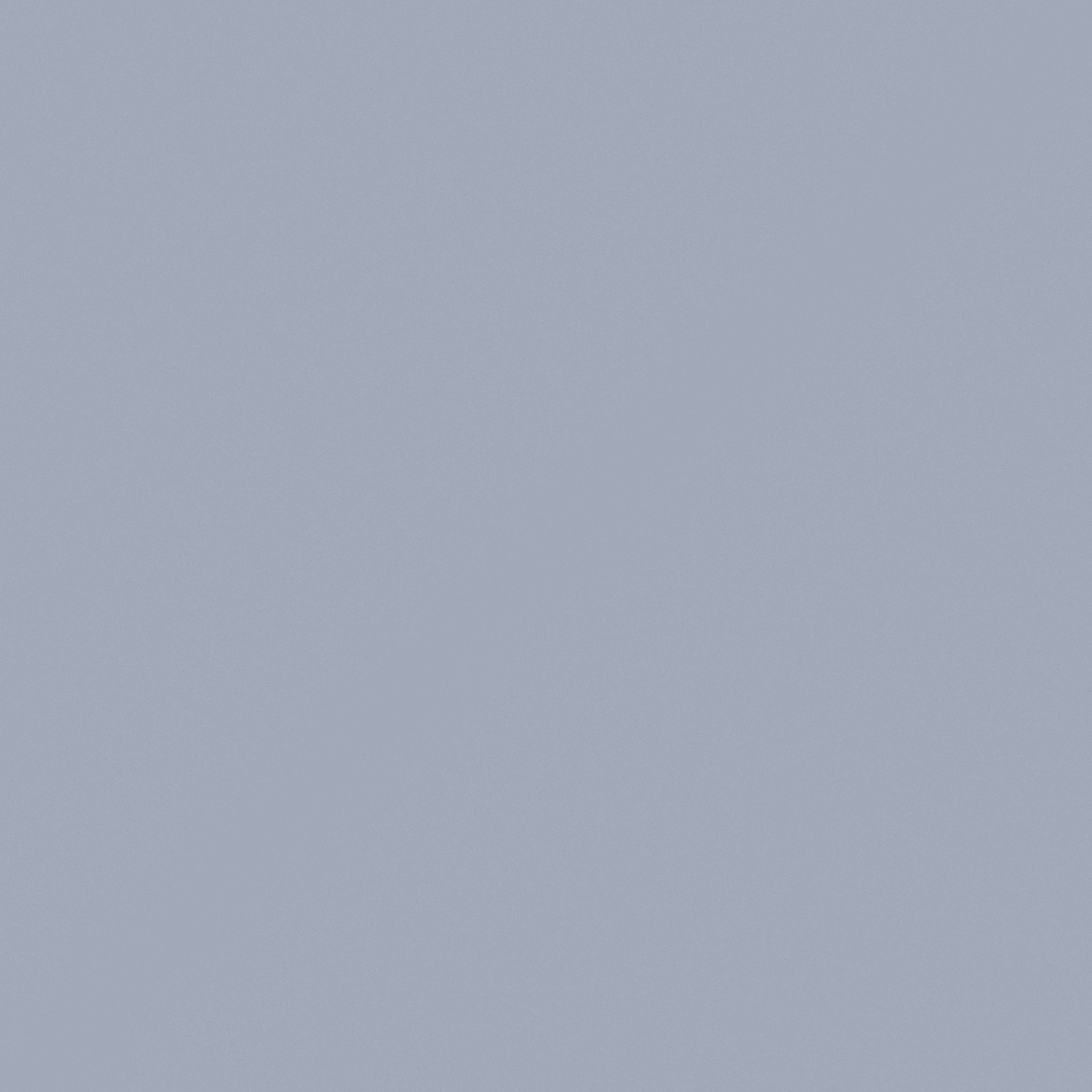 NP N 1970P Ringo Blue