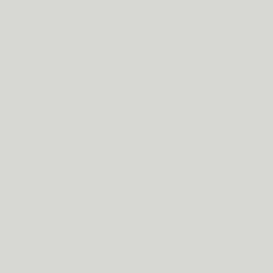 NP OW 2279P-Morning Chill