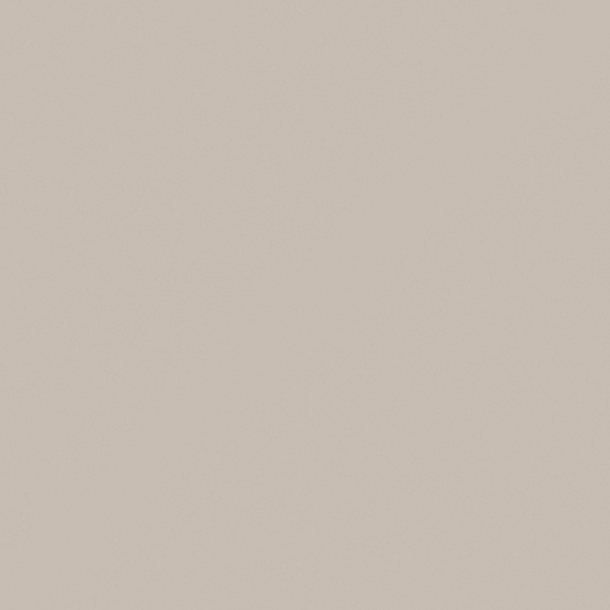 NP N 3382P-Oyster Gray