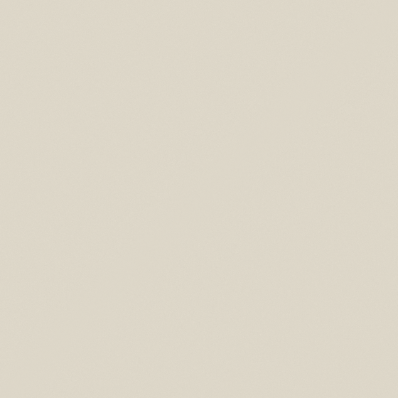 NP N 3237P-Forgotten